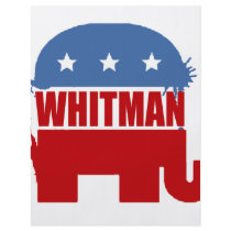 Republicans for Whitman Flyer Design