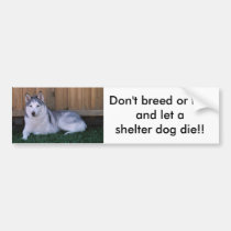 Rescue Animals bumper stickers