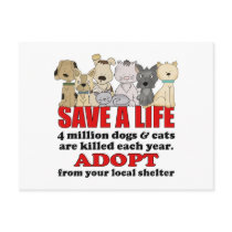 Rescue Animals