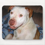 Rescue dog mousepad