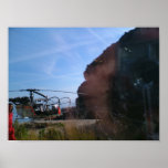 Rescue posters