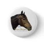 Rescued ForeverMorgan  Horse Apollo buttons