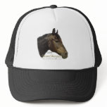 Rescued ForeverMorgan  Horse Apollo hats