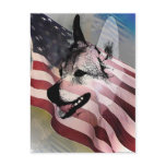 Rescued Pets and Vets Post Cards
