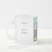 Rescued & Rehabilitated baby racoon mug