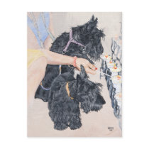 Rescued Scotties lighting candles for Furkids Post Cards