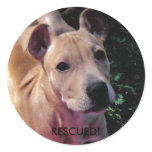 Rescued! sticker