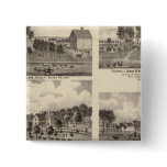 Residences of Swallow buttons