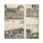 Residences of Swallow magnets