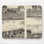 Residences of Swallow mousepads
