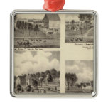 Residences of Swallow ornaments