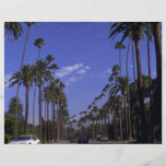 Residential Rodeo Drive, Beverly Hills, California Flyer