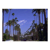 Residential Rodeo Drive, Beverly Hills, California Invite