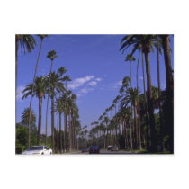 Residential Rodeo Drive, Beverly Hills, California Postcard