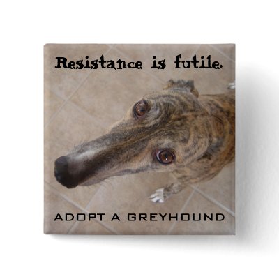 Resistance is futile. buttons by llblechle