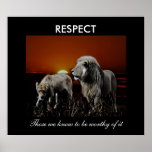 Respect posters