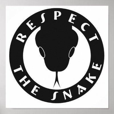 Respect The Snake Poster