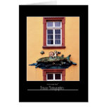 Restaurant Front Heidelberg, Germany cards