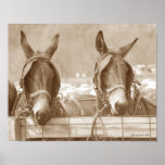 Restin' Easy Poster