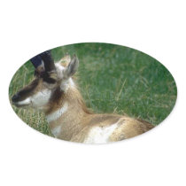Resting Antelope Oval Stickers