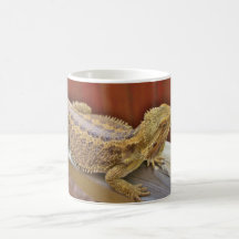 Resting Bearded Dragon 2 Mugs
