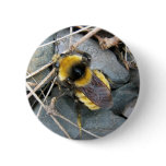 Resting Bee Button