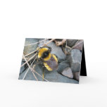 Resting Bee Greeting Card