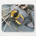 Resting Bee Mousepad