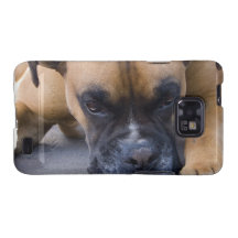 Resting Boxer Dog Samsung Galaxy Case