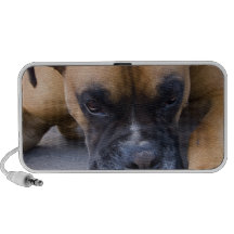Resting Boxer Dog Speakers