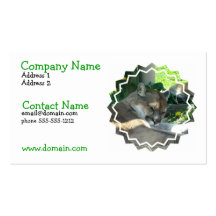 Resting Cougar Busines Card Business Card
