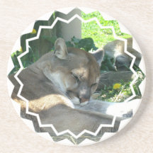 Resting Cougar Coasters