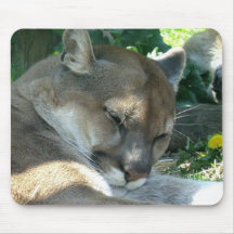 Resting Cougar Mouse Pad