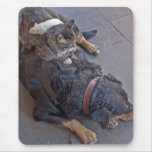Resting Easy mousepads