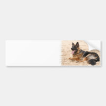 Resting German Shepherd Dog Bumper Sticker