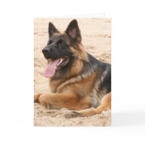 Resting German Shepherd Dog Greeting Card
