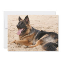 Resting German Shepherd Dog Invitation