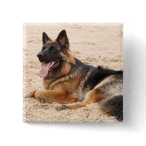 Resting German Shepherd Dog Square Pin