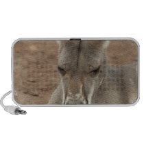 Resting Kangaroo Portable Speakers