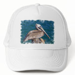 Resting Pelican Baseball Hat