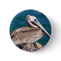 Resting Pelican Button