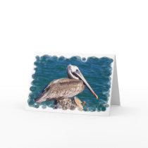 Resting Pelican Greeting Card