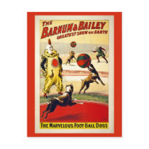 Restored, Barnum and Bailey, dogs, football