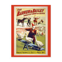 Restored, Barnum and Bailey, geese and donkey