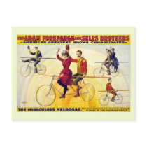 Restored bicyle acrobats Forepaugh Sells