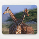 Reticulated Giraffe 2 Mouse Mats