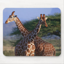 Reticulated Giraffe 2 Mouse Mats
