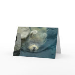 Retired Polar Bear Card