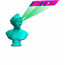Retro Bitch t-shirts
