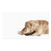Retro Golden Retriever business card